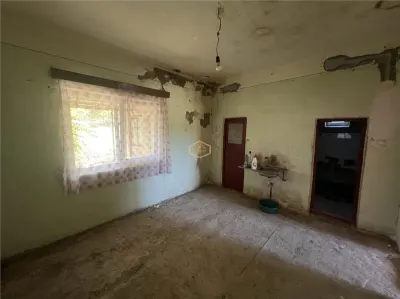 Casa cu 3 camere + 2.557 m² teren | Viile Satu Mare - Lipa - foto 14