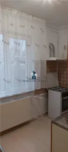 Inchiriere Garsoniera Decomandata Pta. Sudului - foto 8