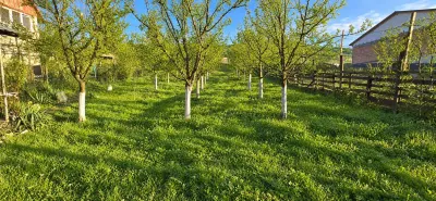 TEREN INTRAVILAN DE VANZARE IN GHINDA – 1.328 MP | DOUA PARCELE | 45.000 EURO - Ghinda
