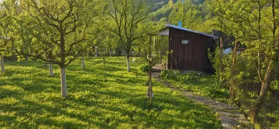 TEREN INTRAVILAN DE VANZARE IN GHINDA – 1.328 MP | DOUA PARCELE | 45.000 EURO - foto 2