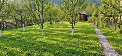 TEREN INTRAVILAN DE VANZARE IN GHINDA – 1.328 MP | DOUA PARCELE | 45.000 EURO - foto 3