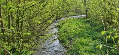 TEREN INTRAVILAN DE VANZARE IN GHINDA – 1.328 MP | DOUA PARCELE | 45.000 EURO - foto 6