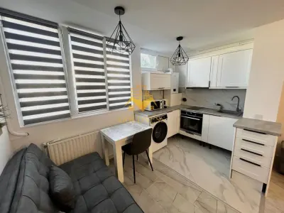 1 camera, Manastur, USAMV, Centrala proprie, Modern - foto 4