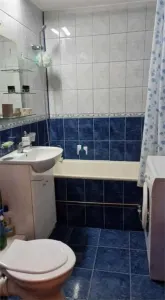 Inchiriere Apartament 2 Camere Decomandat Aparatorii Patriei - foto 5