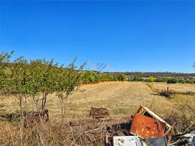 CASA + TEREN 5.723 MP | BISTRA – POPESTI | BIHOR - foto 16