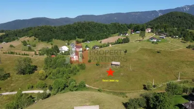 Teren intravilan 3.908 mp în Ciocanu – vedere panoramică spre Munții Bucegi - foto 2