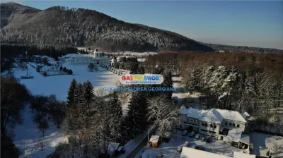 Investitie Premium - Pensiune cu restaurant Sambata de Sus - foto 5