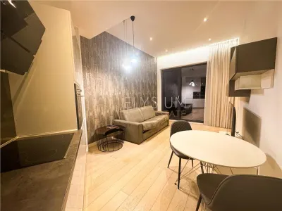 Apartament 2 camere de inchiriat One Herastrau Park - foto 4