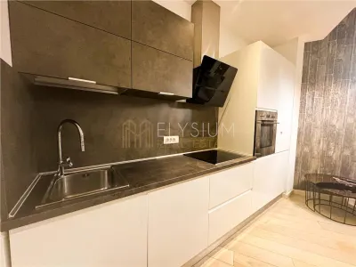 Apartament 2 camere de inchiriat One Herastrau Park - foto 8
