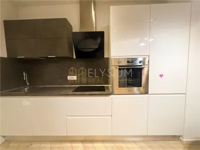 Apartament 2 camere de inchiriat One Herastrau Park - foto 9