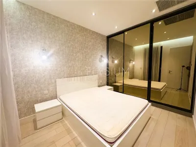 Apartament 2 camere de inchiriat One Herastrau Park - foto 10
