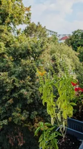 3 camere, modern, garaj, parcare, Central Zona Platinia, Motilor - foto 7