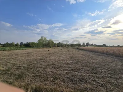 RECO Teren intravilan în Ciocaia 6567mp - foto 3