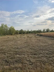 RECO Teren intravilan în Ciocaia 6567mp - foto 4