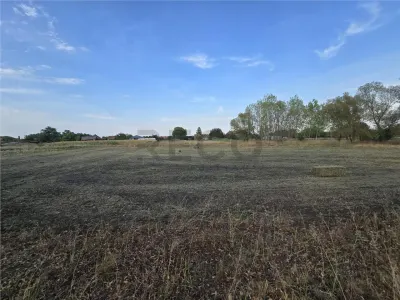 RECO Teren intravilan în Ciocaia 6567mp - foto 5