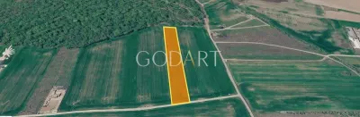 Teren 10.000 mp în Ciolpani | Deschidere la șosea | Pădurea Snagov - Ciolpani