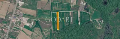 Teren 10.000 mp în Ciolpani | Deschidere la șosea | Pădurea Snagov - foto 2