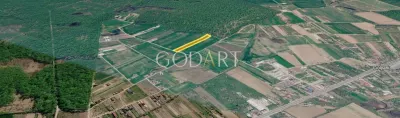Teren 10.000 mp în Ciolpani | Deschidere la șosea | Pădurea Snagov - foto 3