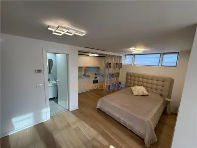 INCHIRIERE GARSONIERA ULTRA CENTRAL KISELEFF - Bucuresti