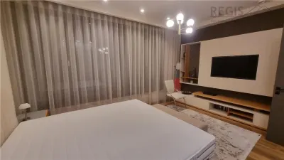 Apartament premium de 3 camere la vila zona Drumul Poienii - foto 4