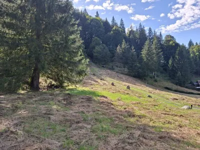 Teren intravilan la munte - foto 2