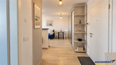 Studio elegant, mobilat, utilat, terasa, parcare, pietonala Kasper, Coresi, Tractorul, Brasov - foto 10