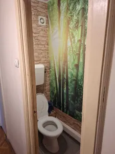 Decomandat cu 2 bai, linga Iulius Mall - foto 7