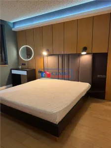Inchiriere parte duplex, complet mobilat si utilat, prima inchiriere, zona Europa - foto 13
