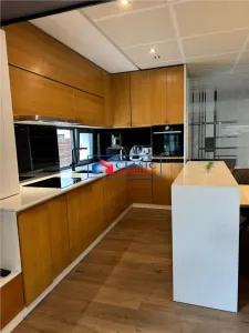 Inchiriere parte duplex, complet mobilat si utilat, prima inchiriere, zona Europa - foto 10