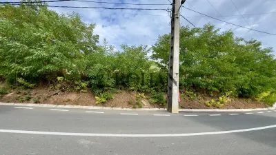 Teren 4.000 mp | Front Generos 47 ml | Utilități | La Asfalt | Cricău - Cricau