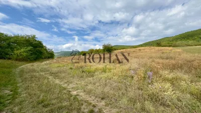 Teren 4.000 mp | Front Generos 47 ml | Utilități | La Asfalt | Cricău - foto 4
