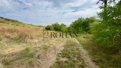 Teren 4.000 mp | Front Generos 47 ml | Utilități | La Asfalt | Cricău - foto 6