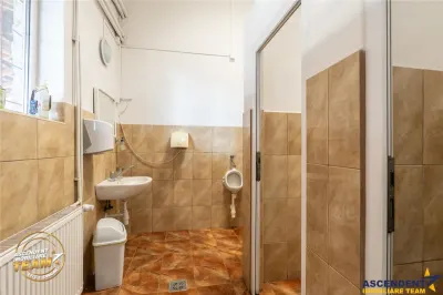 O investitie cu substanta:spatiu amplu, versatil, valoros pozitionat, activitati comerciale, logistice sau dezvoltare - foto 36