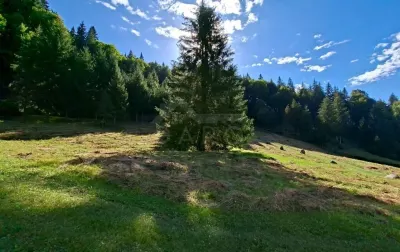 Teren intravilan la munte - Neagra
