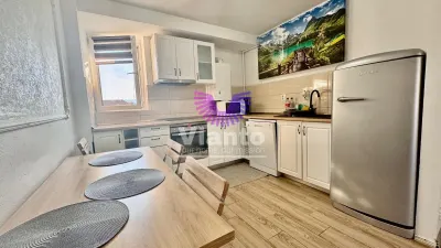 Apartament 3 camere mobilat si utilat-Zona sub-Arini - Calea Poplacii - foto 8