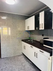 Apartament primitor 2 camere, George Enescu - zona Liceul Energetic - foto 8