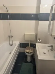 Apartament 2 camere | CUG – Selgros | Complet mobilat și utilat - foto 4