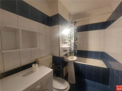 Apartament 1 camera, zona Penny, Confectii - foto 9