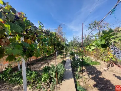 Casa in Aradul Nou, zona Tabacovici - foto 20