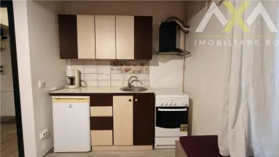 Apartament 1 camera + Boxa, Pacurari Alpha Bank - foto 3