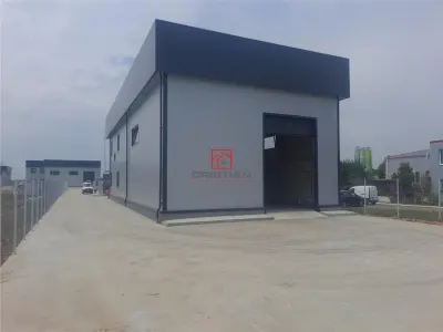 Vanzare depozit/hala/spatiu industrial Domnesti - Centura, Ilfov - foto 2