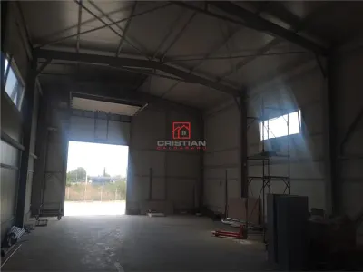 Vanzare depozit/hala/spatiu industrial Domnesti - Centura, Ilfov - foto 4