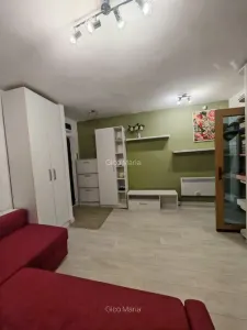 Apartament cochet de 2 camere transformat in 3 camere, Parc Drumul taberei - foto 9