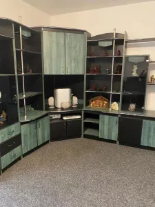 Dau in chirie ap cu 3 camere etajul 1 str Flamarion cartier Rogerius pret 350 euro - foto 6