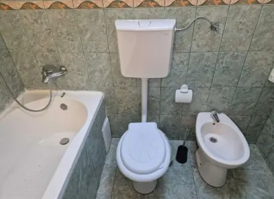 Inchiriez apartament cu 2 came la casa - foto 3
