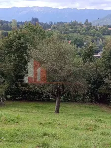 Teren intravilan 1.300 mp | Vedere Piatra Craiului | Bran Poarta - foto 8