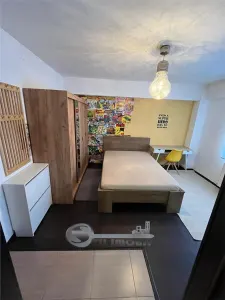 Garsoniera la 2 min de Palas Campus | renovat recent | centrala proprie - foto 2