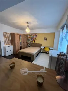 Garsoniera la 2 min de Palas Campus | renovat recent | centrala proprie - foto 1