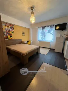 Garsoniera la 2 min de Palas Campus | renovat recent | centrala proprie - foto 3