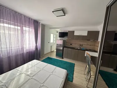 Garsoniera la parterul unei vile cu curte - Zona Nicolina,  2 min de Jumbo - foto 3